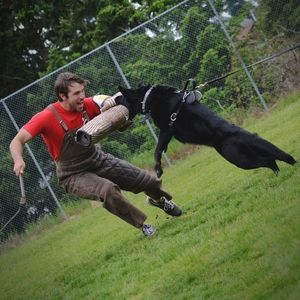 Meet your Posher, Carol